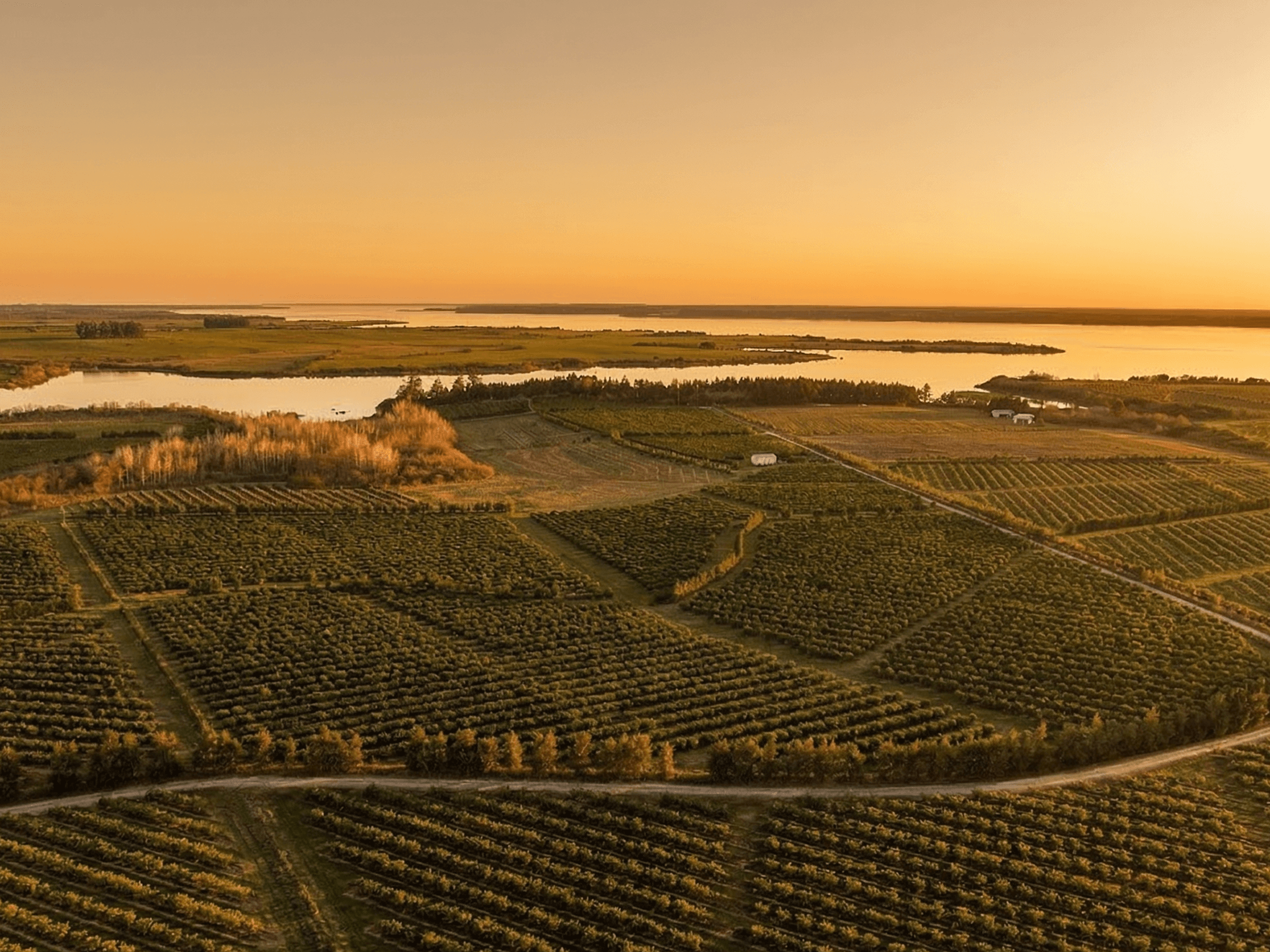 Ubicados en Villa Constitución, Salto, sobre la orilla del Río Uruguay