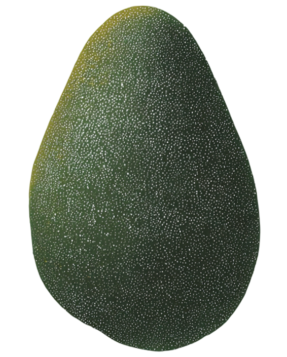 Palta